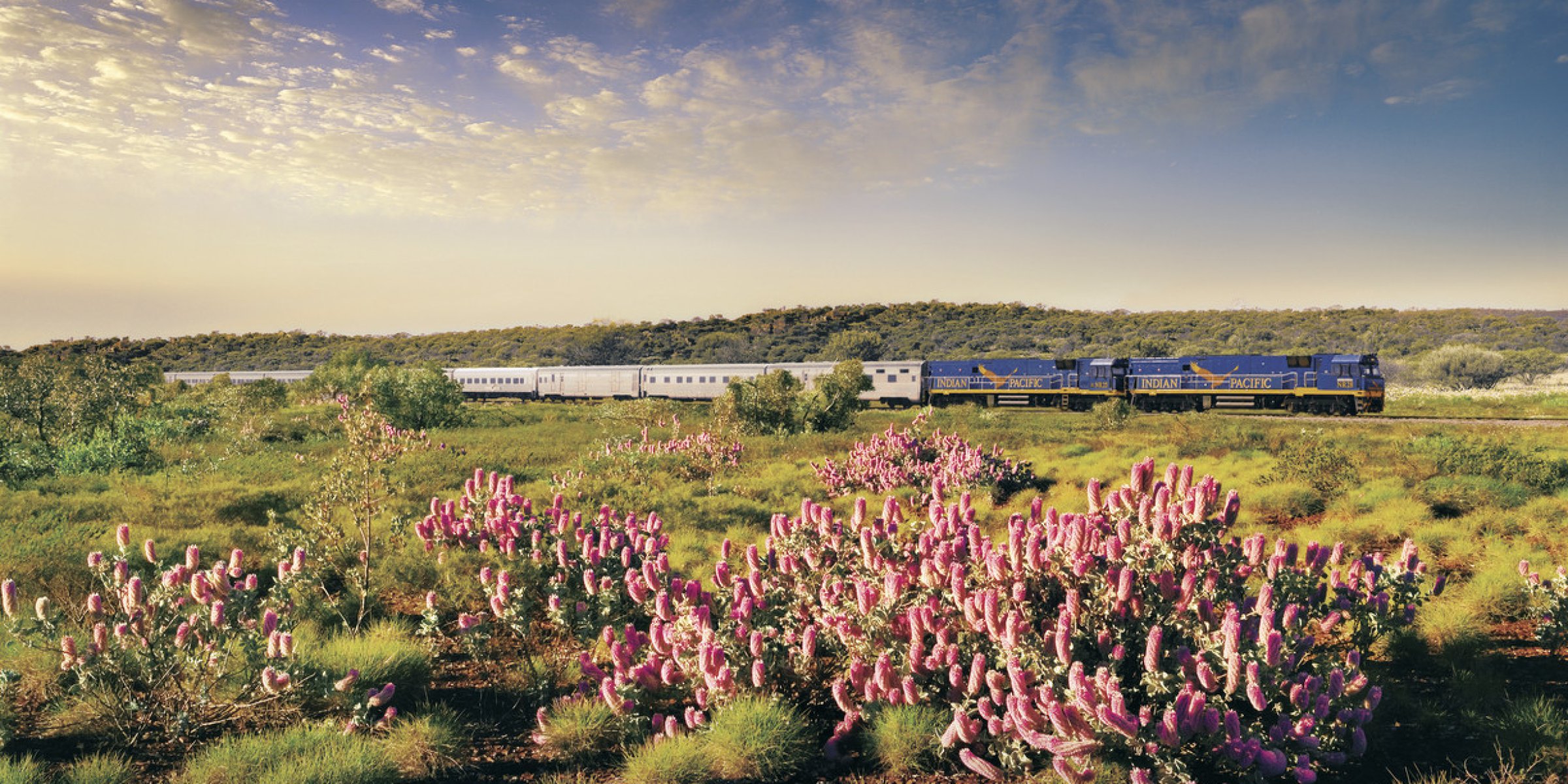 Train