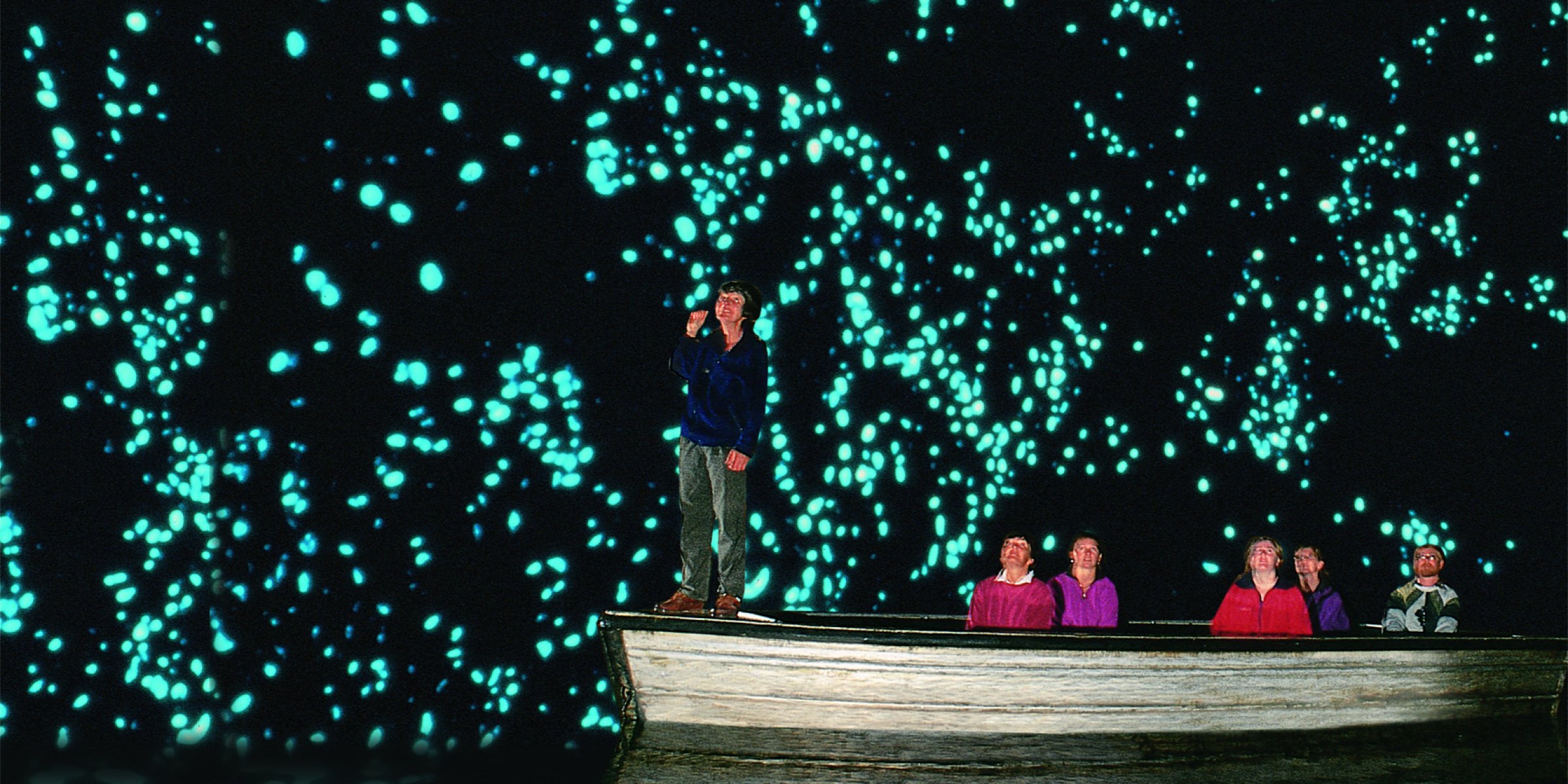 Glowworms