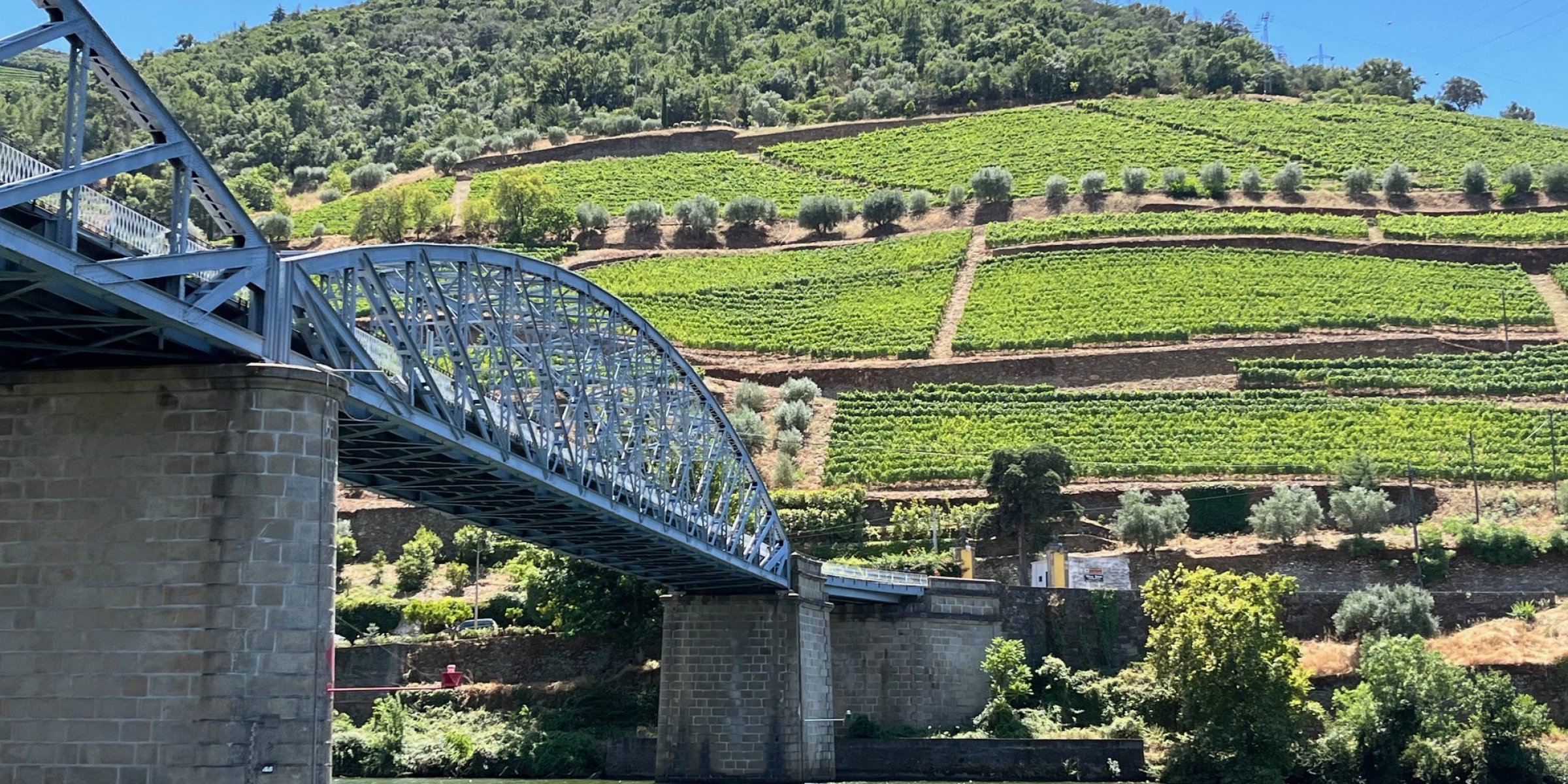 Bridge