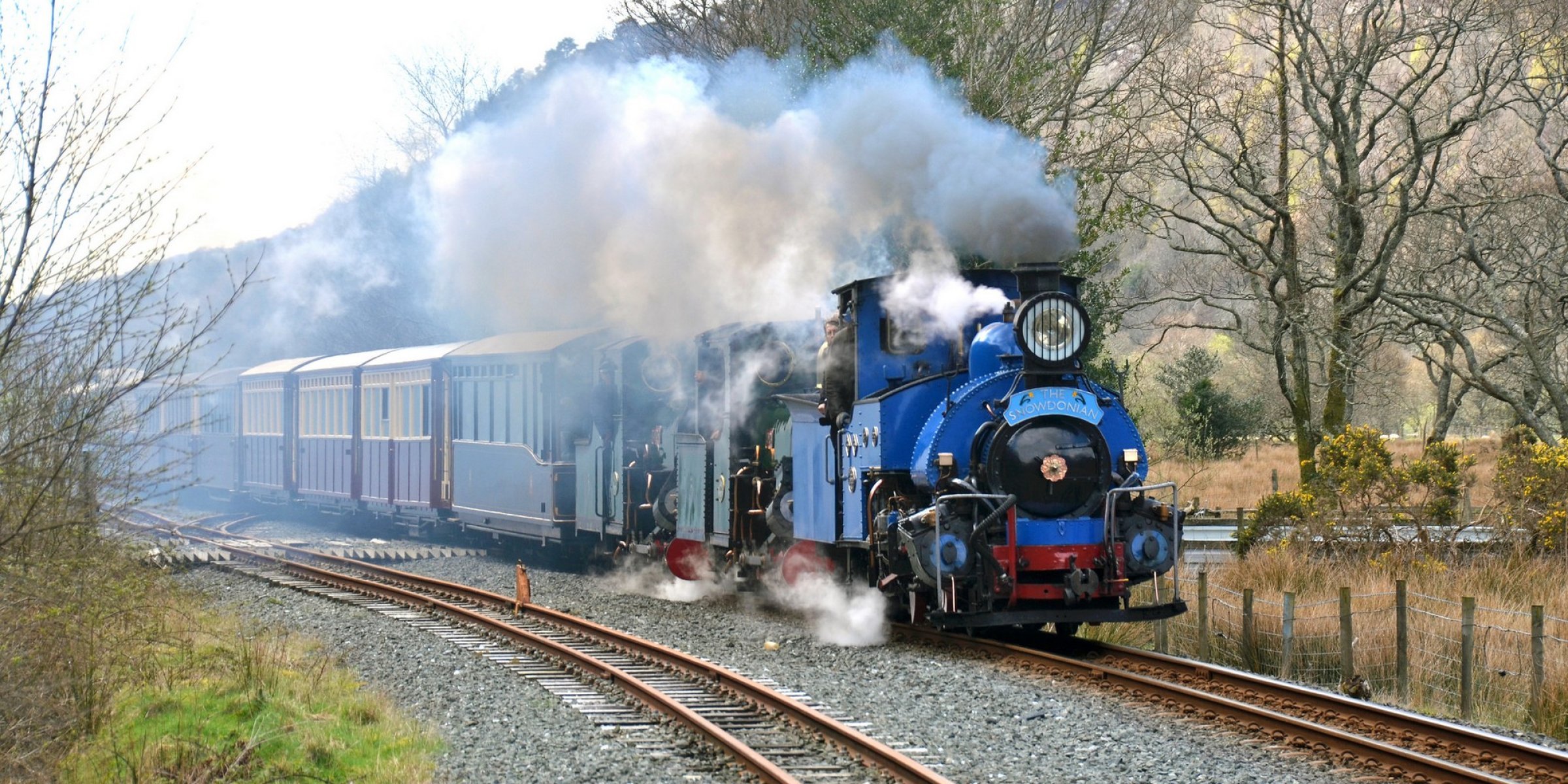 The Snowdonian