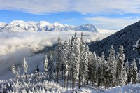 Tyrol snowy landscape